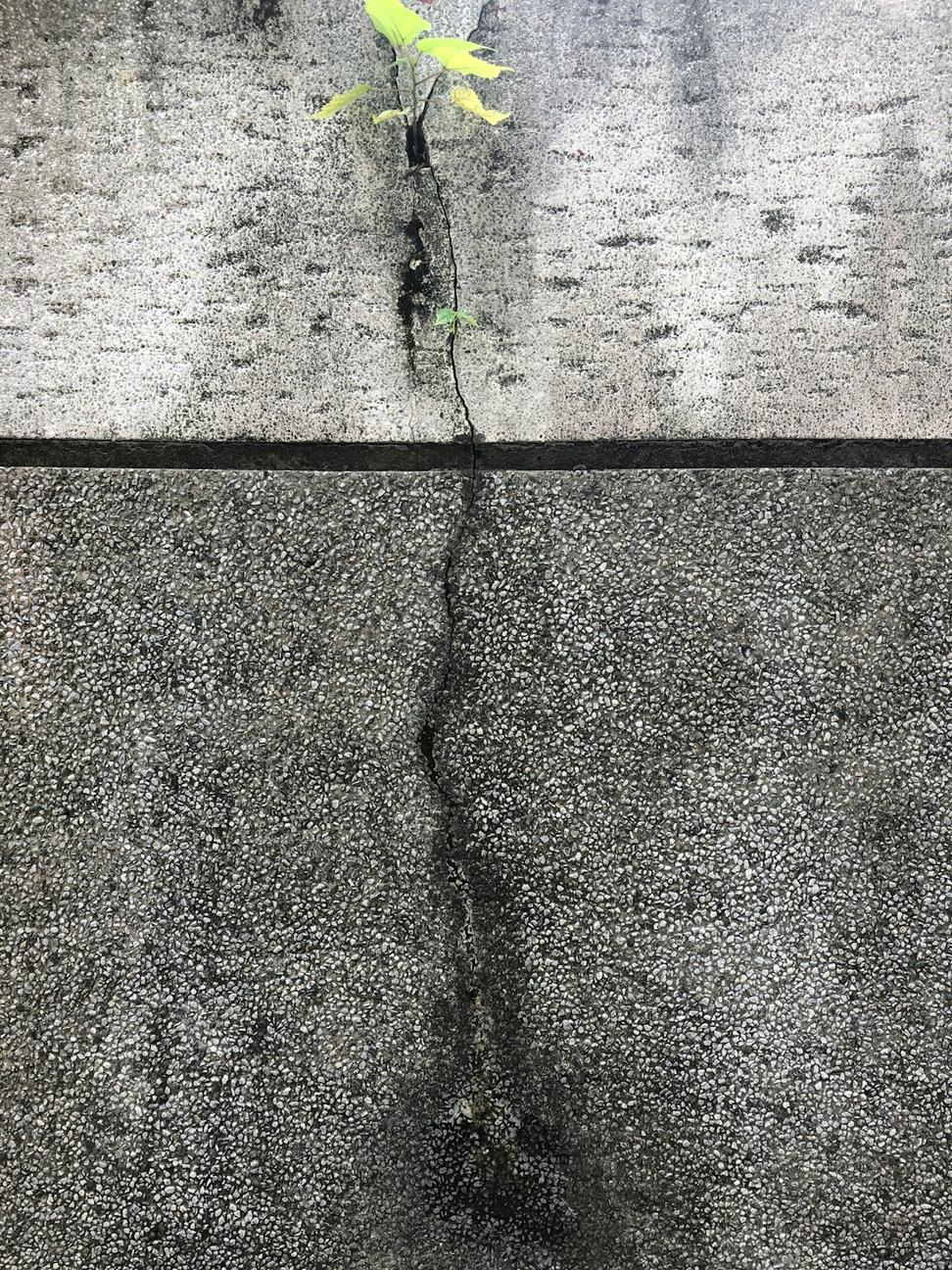 Permeable paving